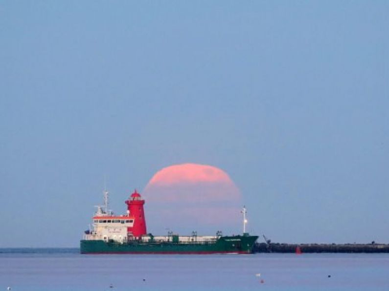 Pink supermoon lights up the dawn skies