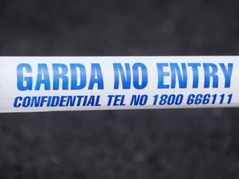 Man dies in fatal assault at Dublin home