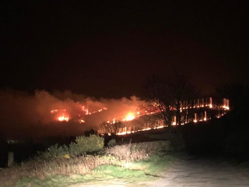 Firefighters battle large gorse fire in Carlow overnight