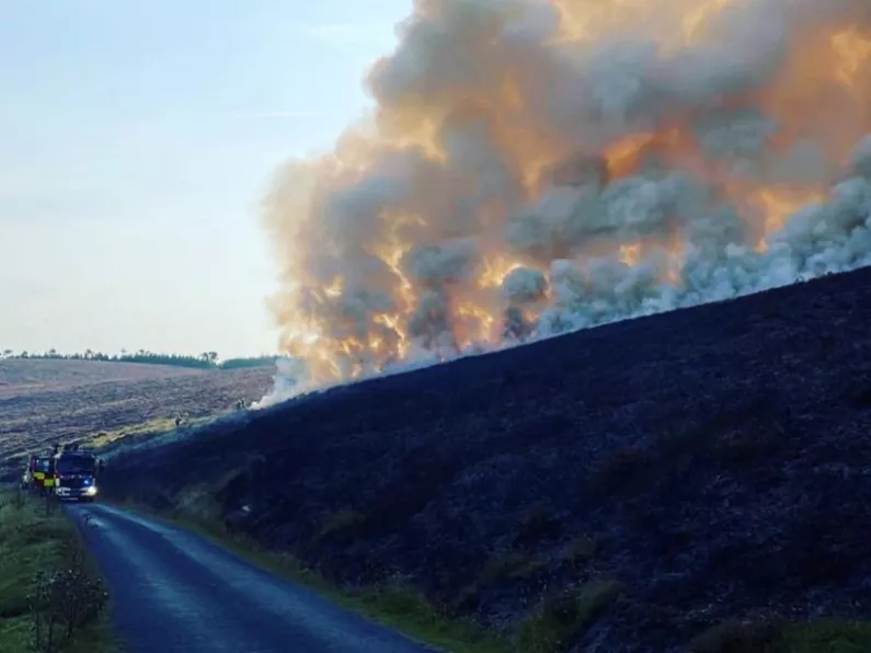 Fire fighters battle large gorse fires on Mount Leinster