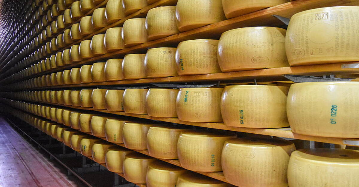 Man crushed to death by thousands of tumbling cheese wheels - Vimarsana News