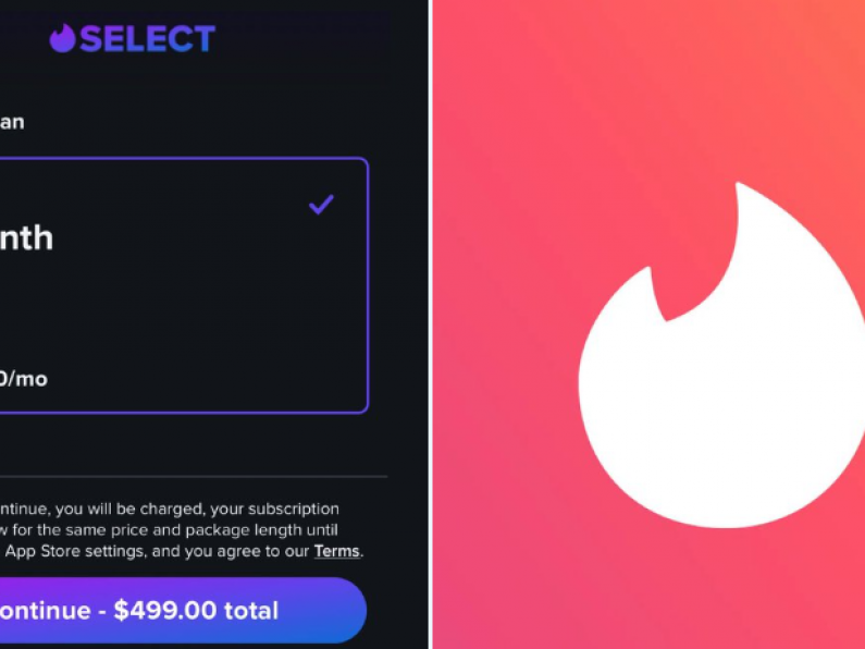 Tinder launches new €456/month subscription plan