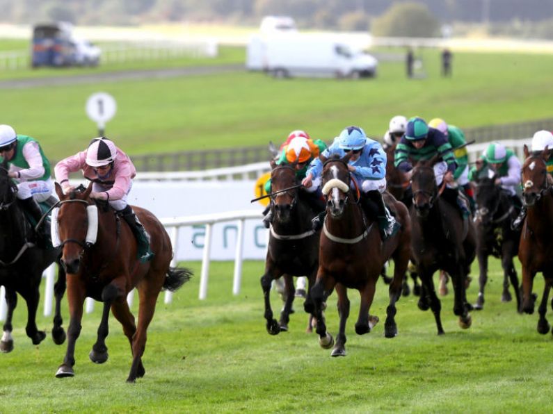 No evidence doping rules in Irish horse racing lower than international standards