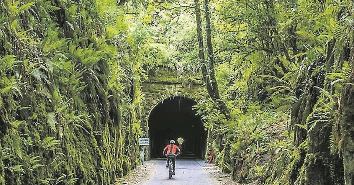 Waterford Greenway named Ireland's Best Visitor Attraction - Vimarsana News