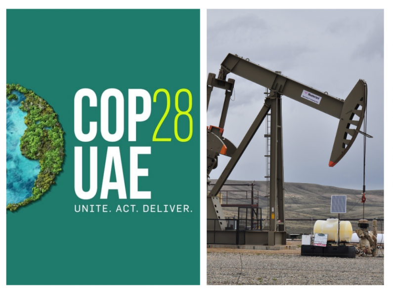 Ep 29 - COP28 Explained: A Reality Check