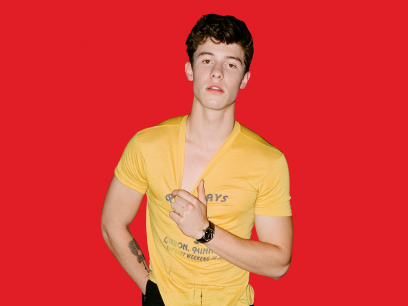 Shawn Mendes opens up on Camila Cabello split