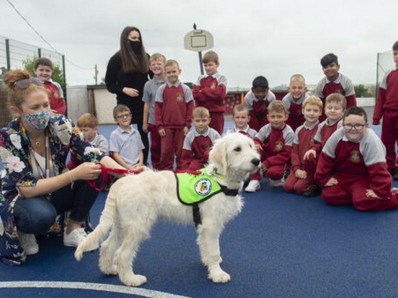 School adopts a dog to help students with stress and anxiety