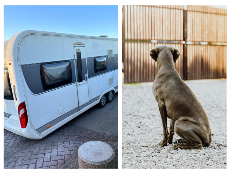 Carlow Gardaí support operation to recover stolen caravans and stolen dog