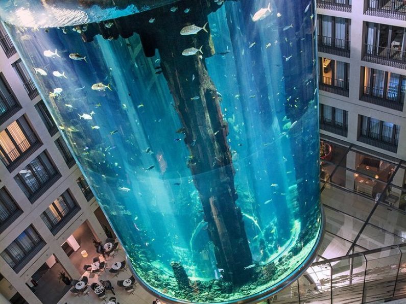 Giant aquarium in Hotel explodes onto nearby streets
