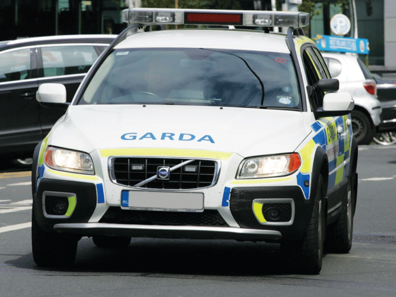 Armed Gardaí called to Wexford estate as armed men brawl in daylight