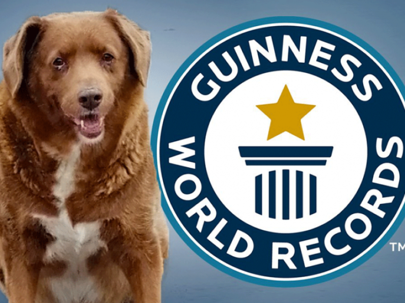 World’s oldest dog title under review by Guinness World Records