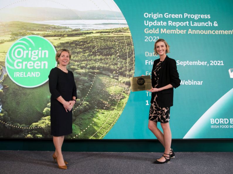 Three Waterford firms awarded Gold Standard for Sustainability