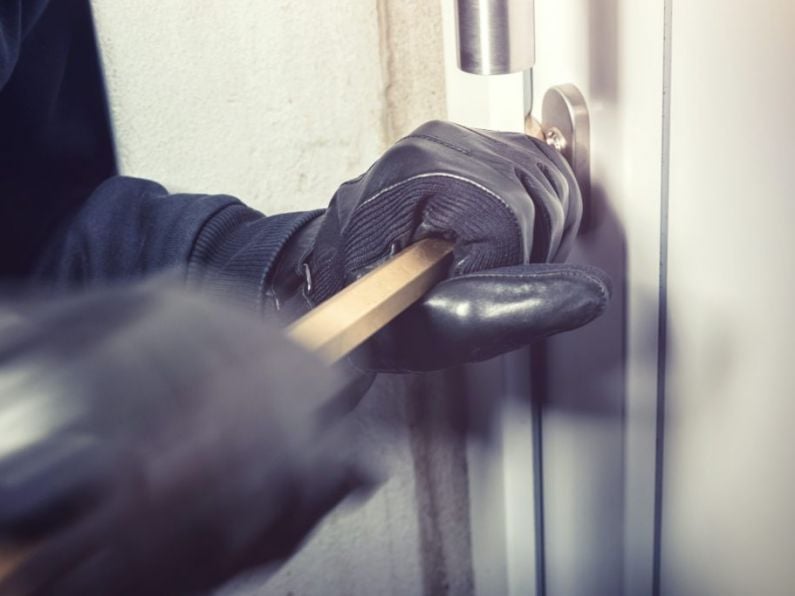 Carlow woman returns home to find burglar escaping through window