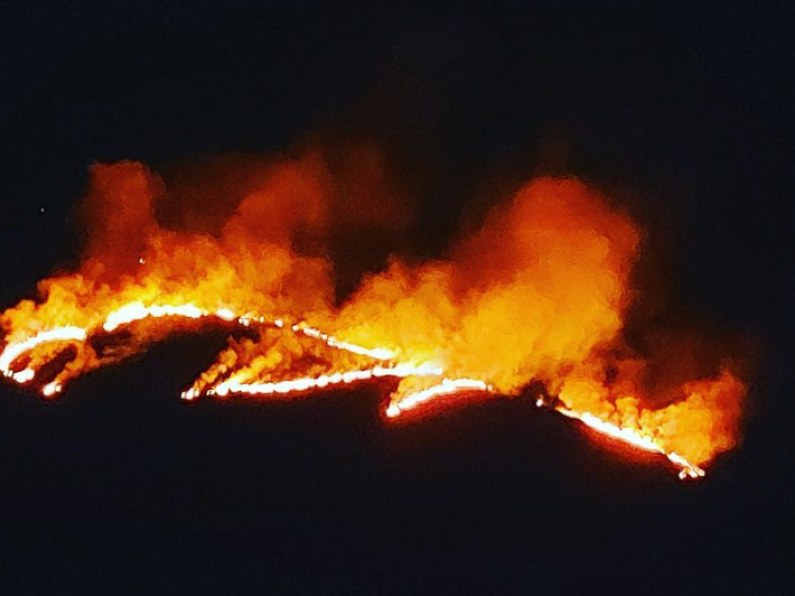 Multiple fire crews tackle massive gorse fires on Mount Leinster in recent days