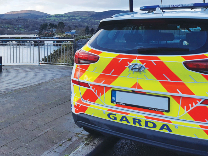 Gardaí appealing for witnesses to a fatal overnight collision
