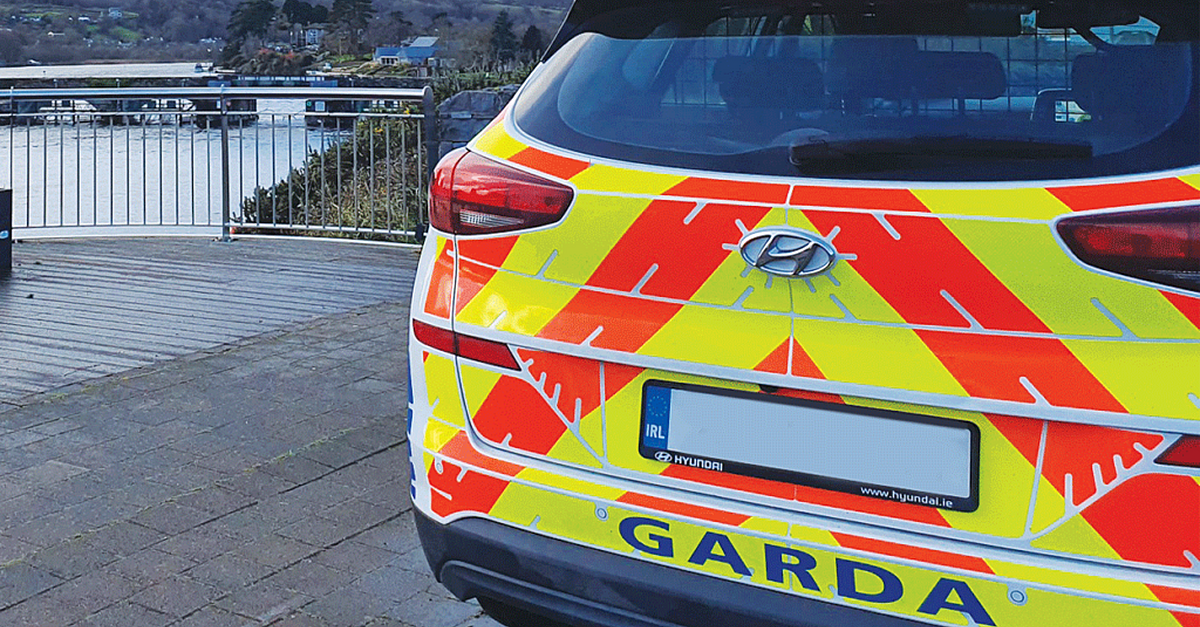 GardaÃ­ appealing for witnesses to a fatal overnight collision - Vimarsana News