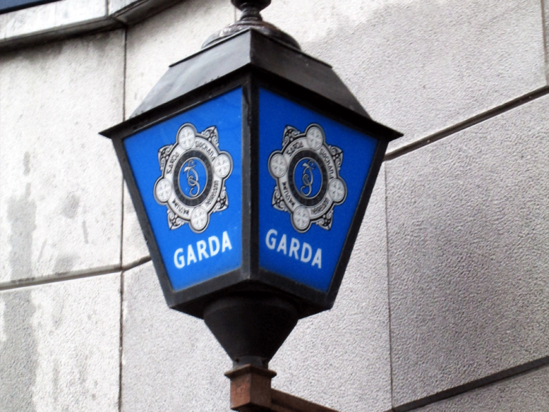 Gardaí confirm teenage girl killed in 'tragic accident'