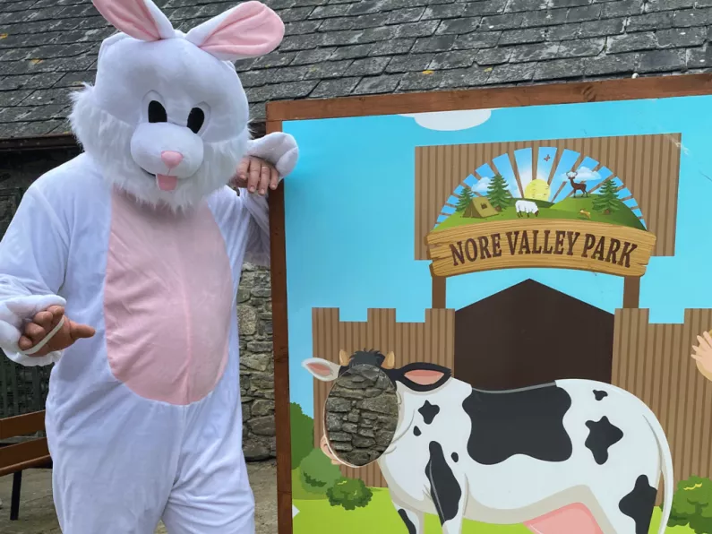 Kilkenny-based Easter bunny reveals the secrets of his elusive role