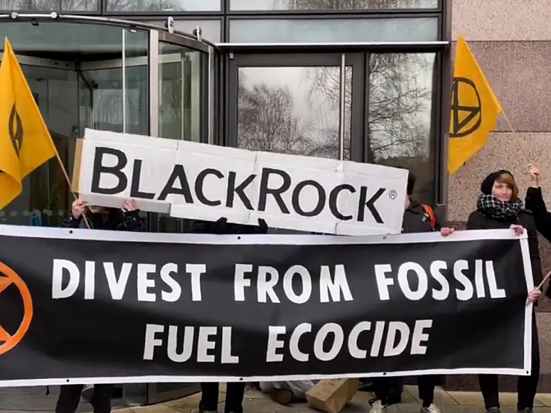 Climate activists glue themselves to office doors in protests