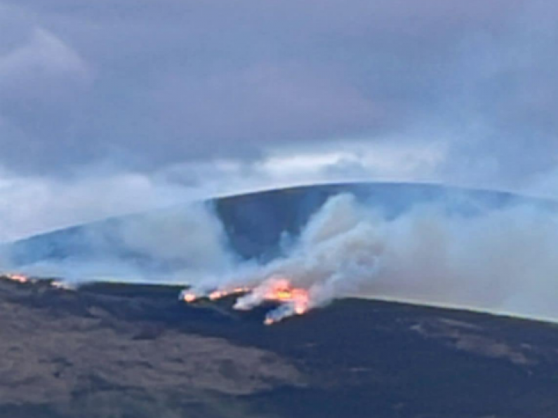 Fire service attend third Mt Leinster blaze in 24 hours