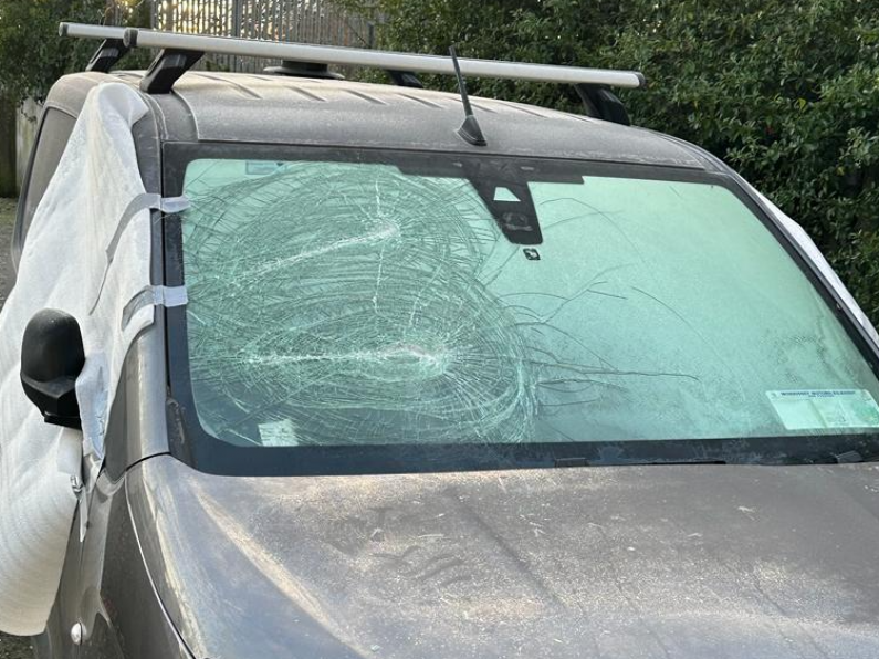 Kilkenny councillor left 'terrified' after home and van damaged in attack