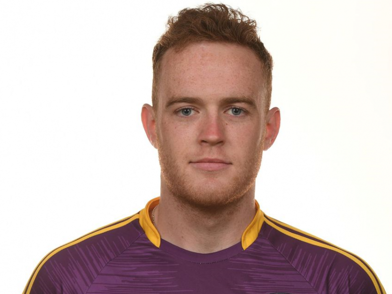 Intoxicated former Wexford hurler arrested in the US after causing Highway crash