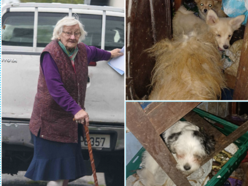 Granny (89) becomes Ireland’s oldest female prisoner, reportedly abused and caged dogs