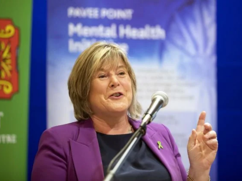 We need to get CAMHS reform right, says Waterford TD