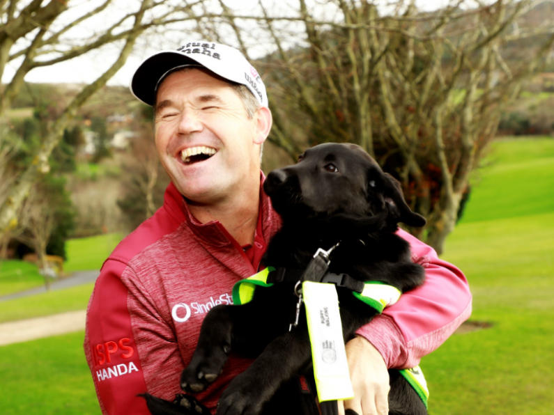 Pádraig Harrington partners with Irish Guide Dogs for the Blind's Nationwide Golf Challenge