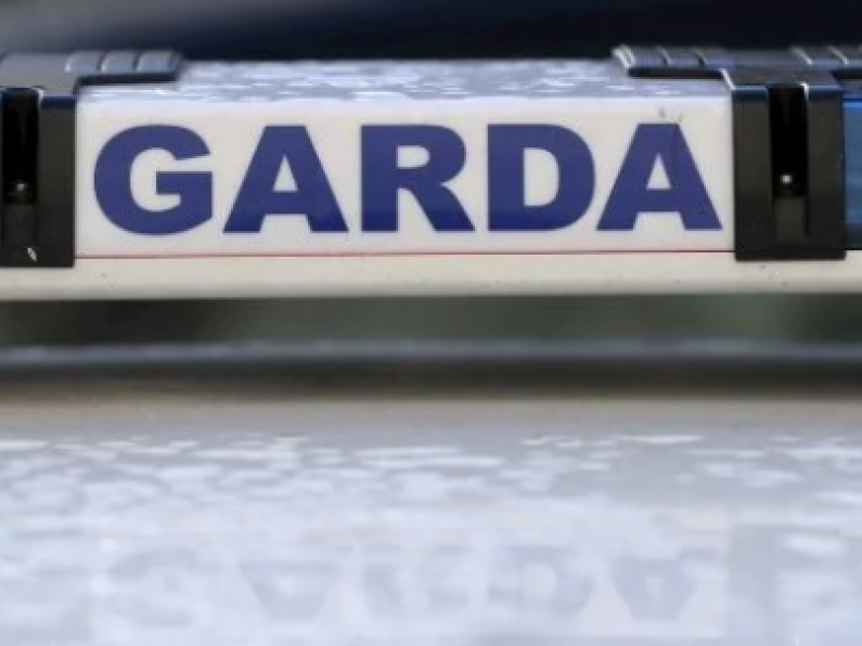 Kilkenny Gardai arrest van driver after cheeky manoeuvre during rush hour