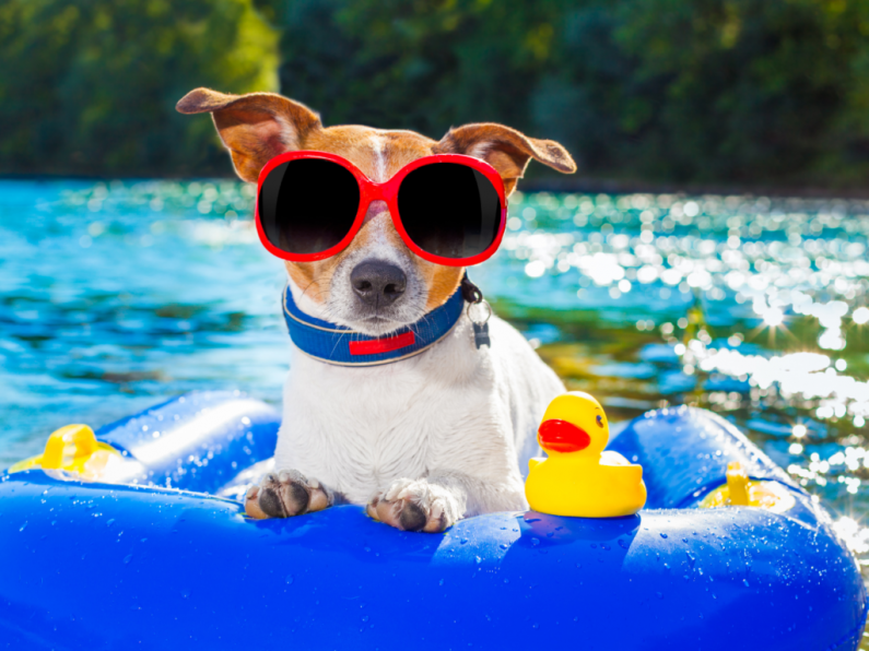 Met Éireann says warm spell set to continue into June Bank Holiday