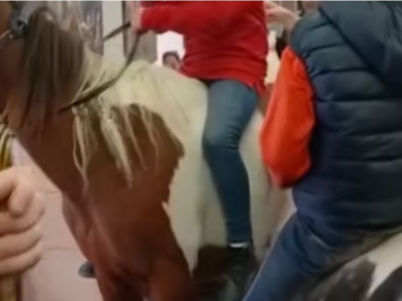 Two boys ride horses into fast food restaurant in bizarre footage