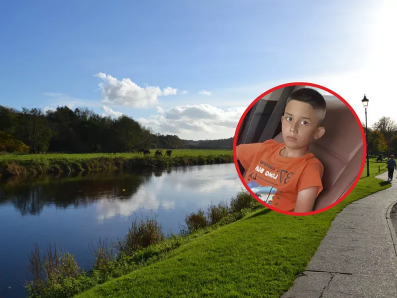 Welcome Home event in Wexford for boy attacked by dog in November