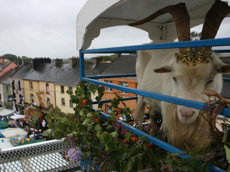 Goat to spend less time on high stand at Puck Fair