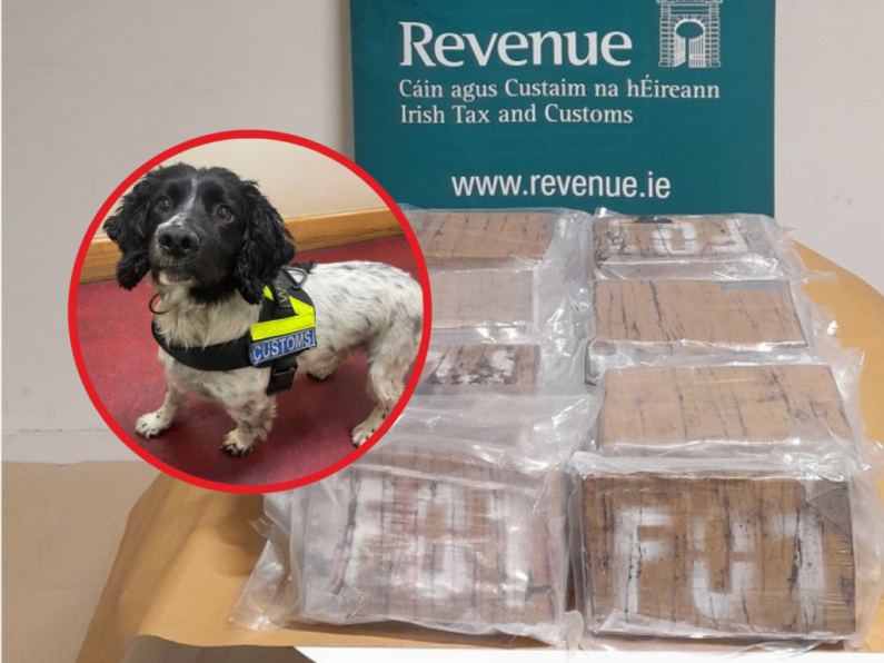 Man (30s) arrested after €2.4 million of cocaine seized in Wexford
