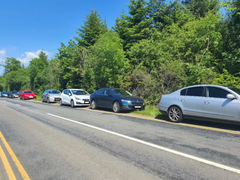Multiple cars in Waterford fined for illegally parking at woodland