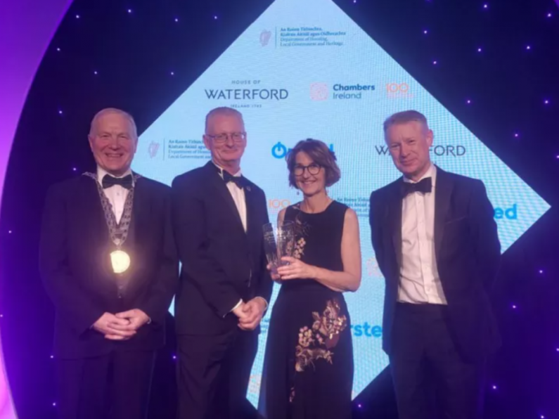 Waterford Council win two awards at 'Excellence in Local Government' Awards