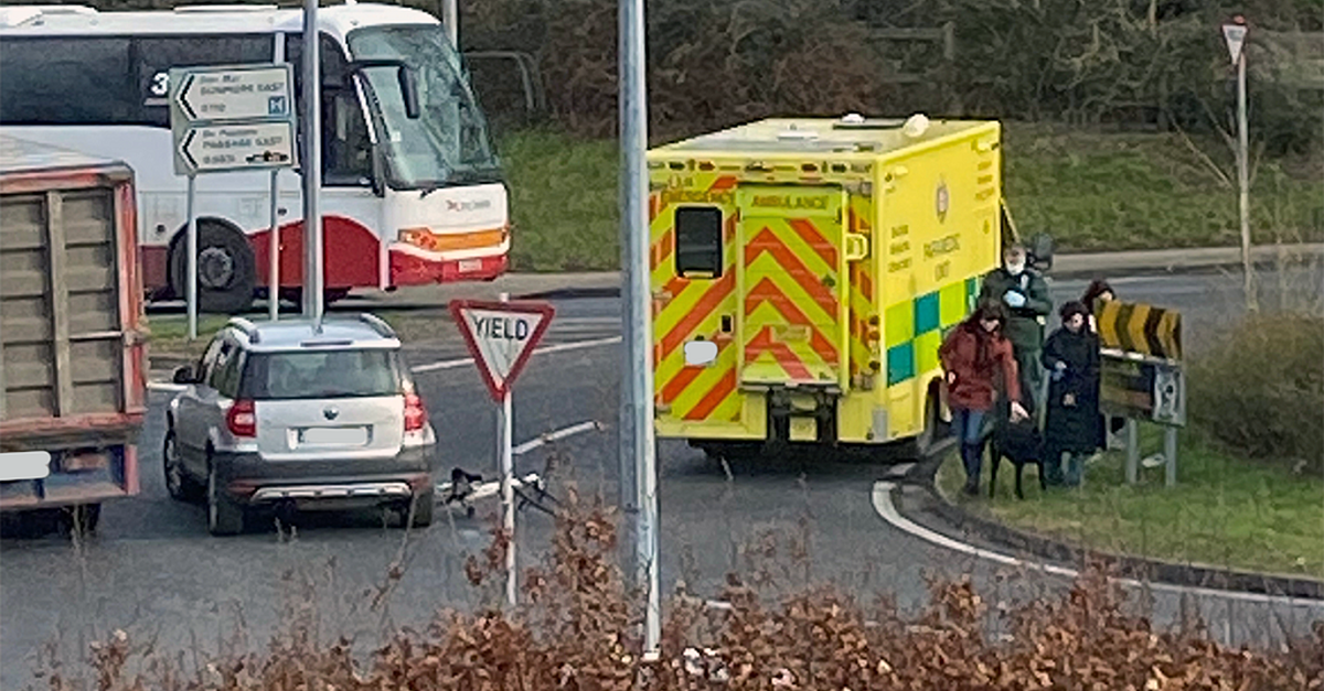 Waterford road repairs to cost €7.5m following Storm Babet and Storm Ciaran - Vimarsana News