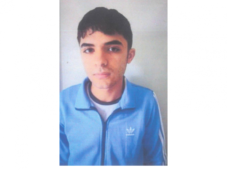 Gardaí appeal for missing Carlow teenager