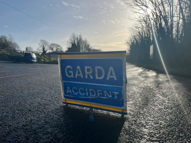 Appeal issued for information on red Lexus car following Carlow collision