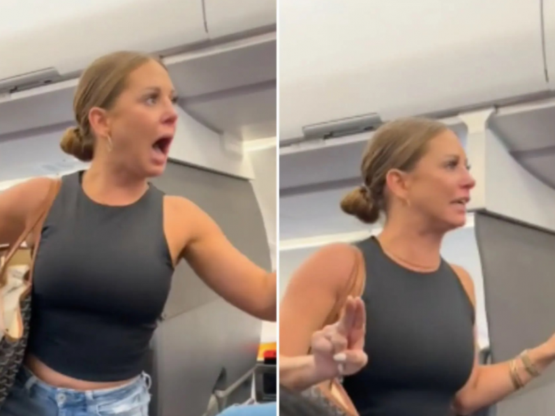 TMFINR: 'Crazy plane lady' finally reveals what caused American Airlines flight meltdown