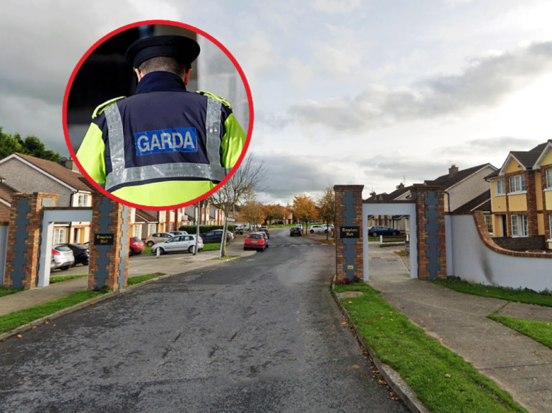 Gardaí searching for BMW driver after Templar's Hall smash-in
