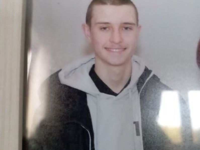 Teenager reported missing from County Kilkenny