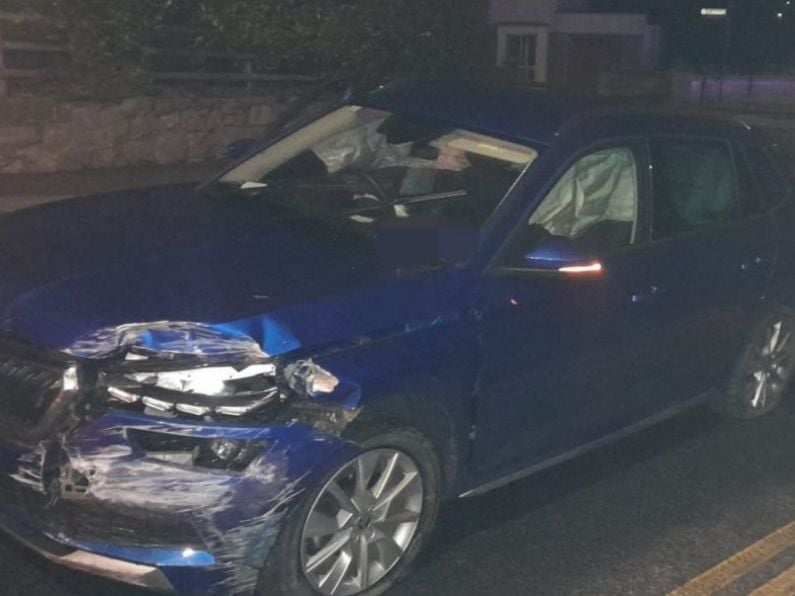 Kilkenny driver five times over limit crashes car in Garda chase