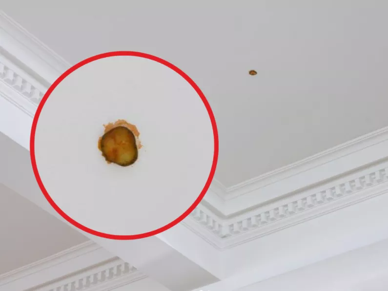 McDonald's gherkin stuck to ceiling selling for over €6,000 as 'sculpture'