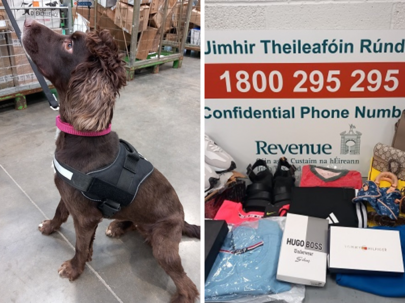 Detector dog Grace does it again as contraband worth over €181,000 seized