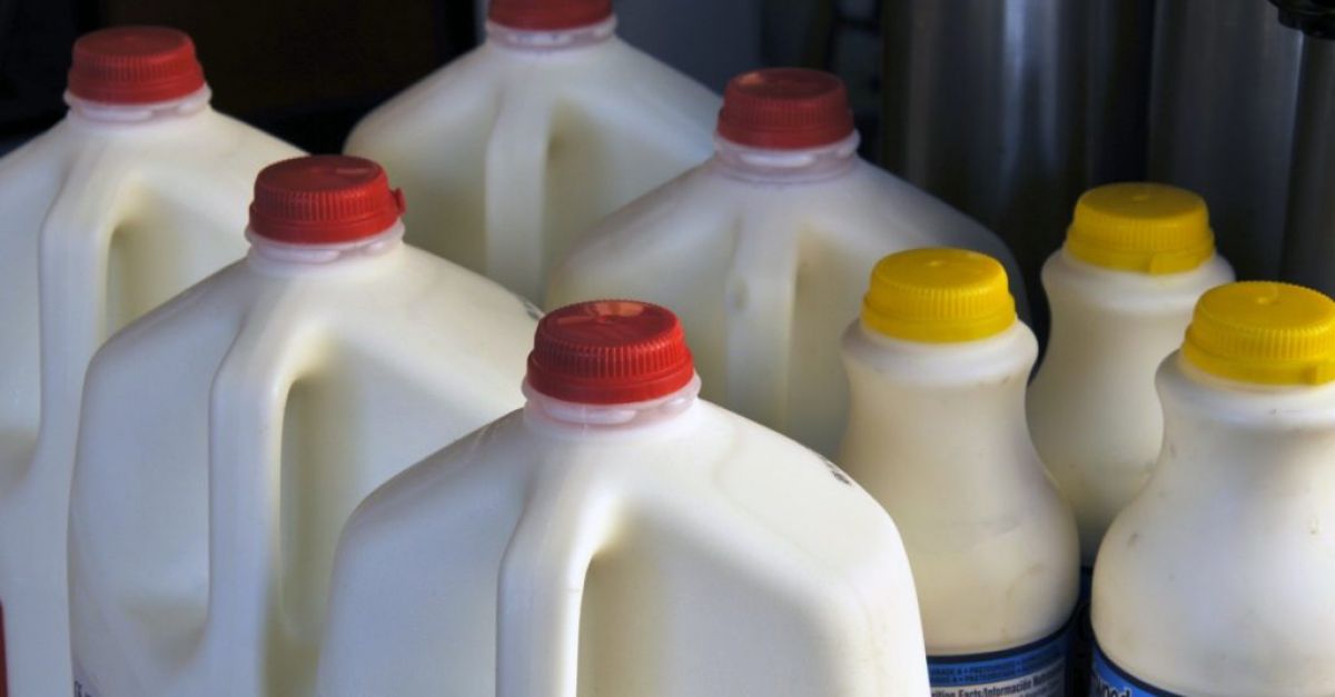 Why You Should Never Store Milk In Your Fridge Door