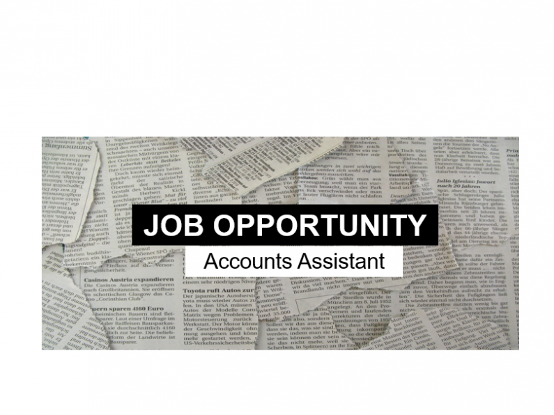 Divpor Limited - Accounts Assistant