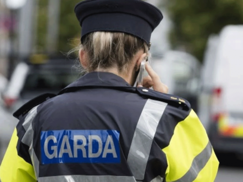 Group who may have witnessed sexual assault in Waterford asked to come forward