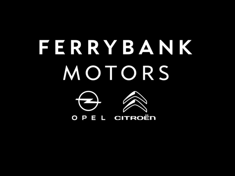 Ferrybank Motors - General Cleaner